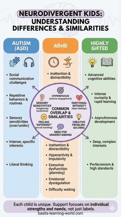 Struggling to tell the difference between sensory quirks, high energy, and advanced learning? Use this visual cheat sheet to identify the 